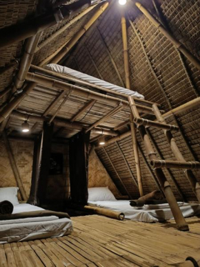 Ecocio Jungle Hostel